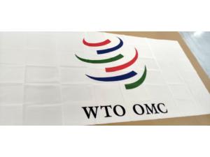 Drapeau sur mesure de 180x90 cm pour Mission permanente de la Malaisie aupr�s de l�OMC � Gen�ve